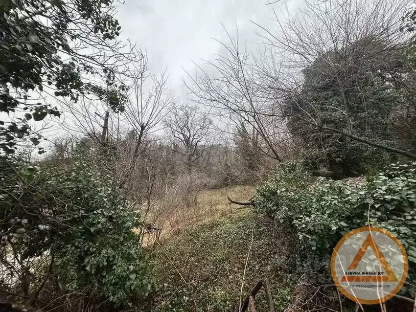 Участок в Краснодарский край, Туапсинский муниципальный округ, Моряк ... - Фото 2