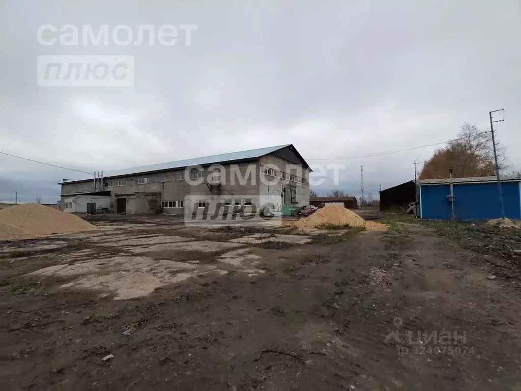 Склад в Липецкая область, Липецкий муниципальный округ, с. Боринское ... - Фото 1