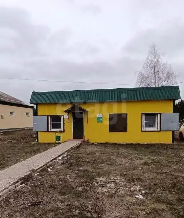 Торговая площадь в Тульская область, Волово рп ул. Слепцова, 50А (48 ... - Фото 1