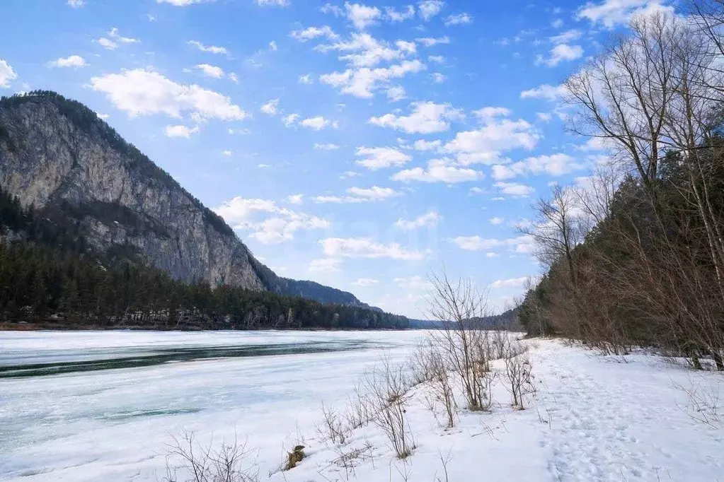 Участок в Алтай, Майминский район, с. Манжерок  (300.0 сот.) - Фото 1