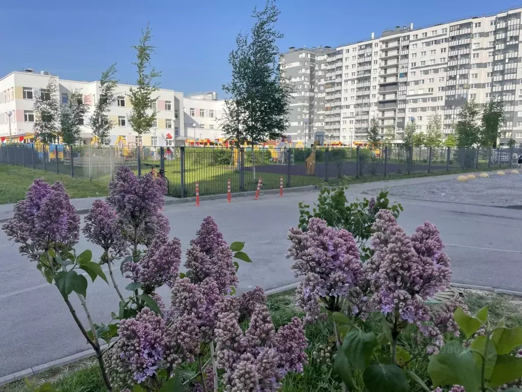 1-к кв. Санкт-Петербург Пискаревский просп., 145к6 (30.7 м) - Фото 1