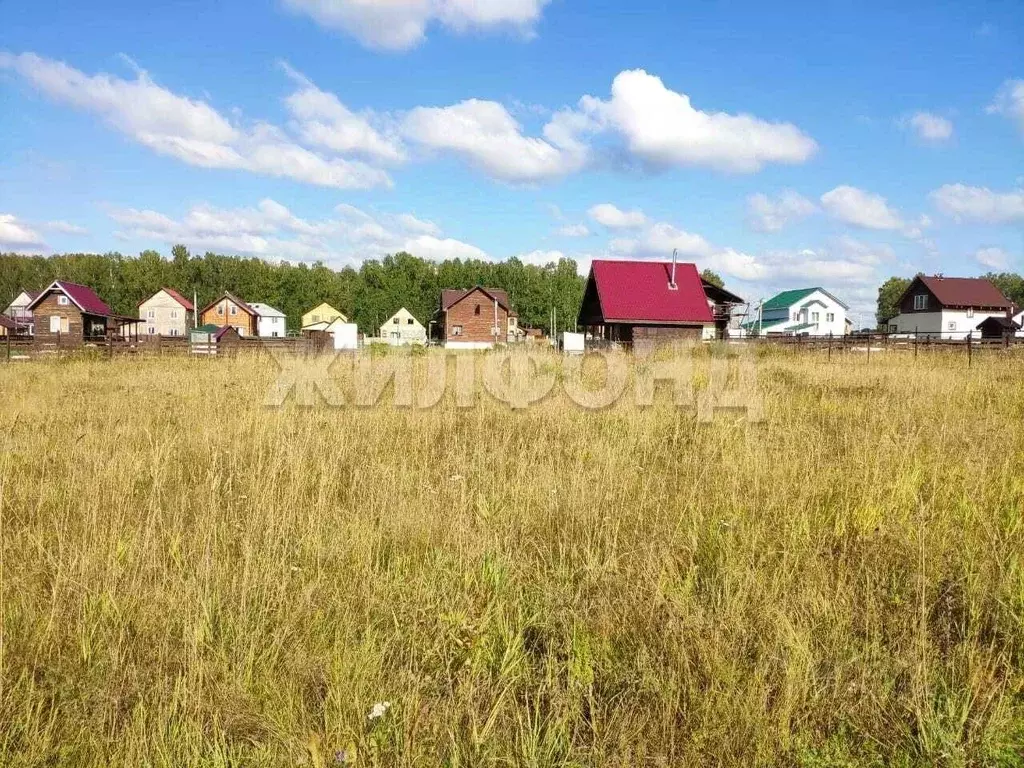 Участок в Новосибирская область, Новосибирский район, Станционный ... - Фото 0