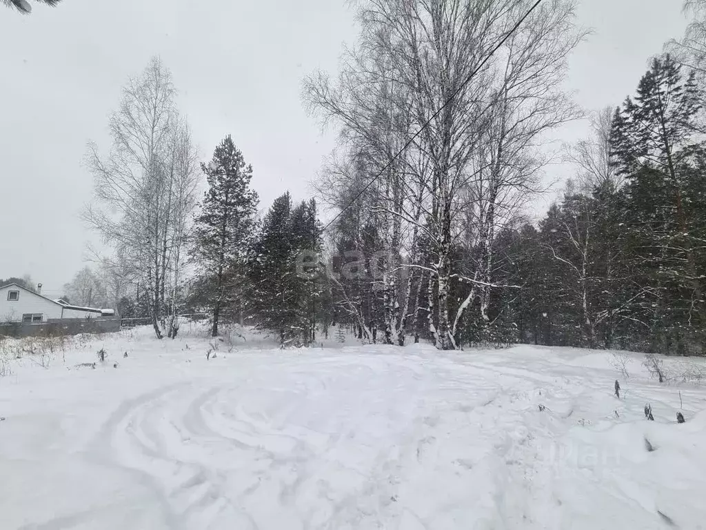 Участок в Кемеровская область, Кемерово Труженик СНТ,  (10.4 сот.) - Фото 1