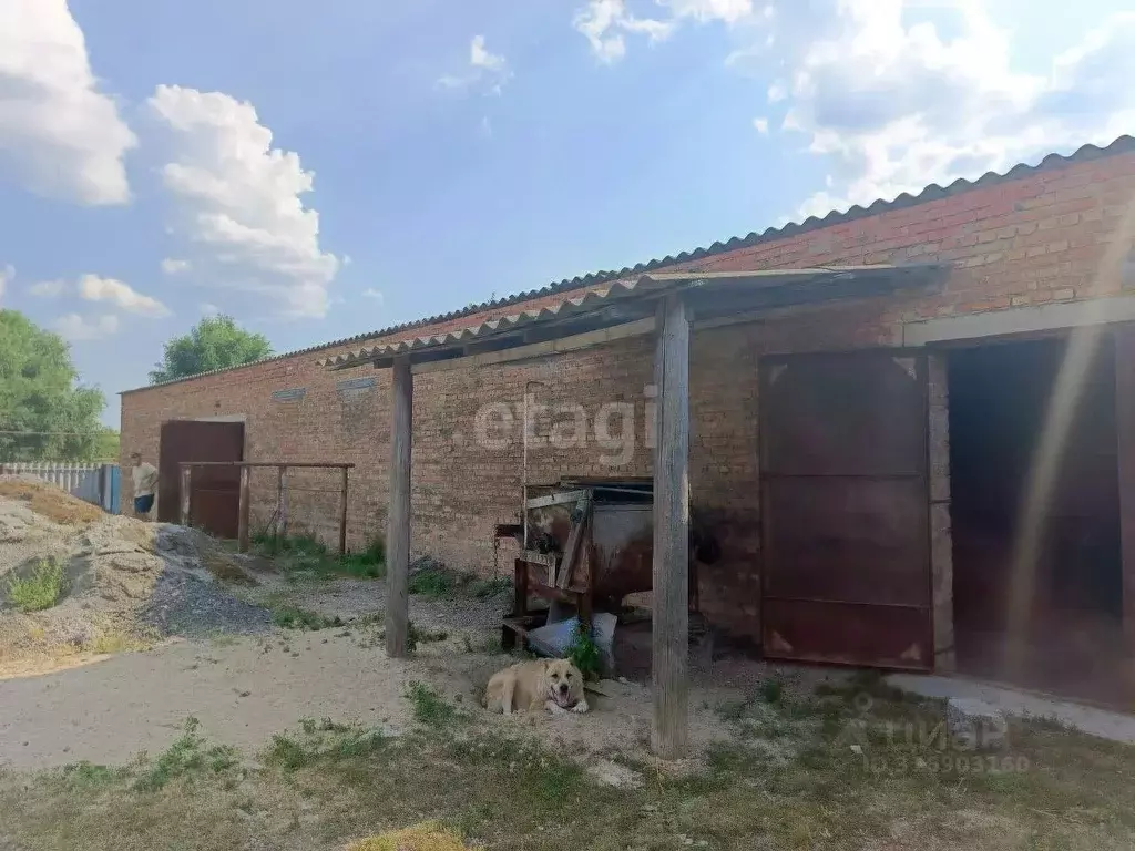 Помещение свободного назначения в Белгородская область, Новооскольский ... - Фото 1