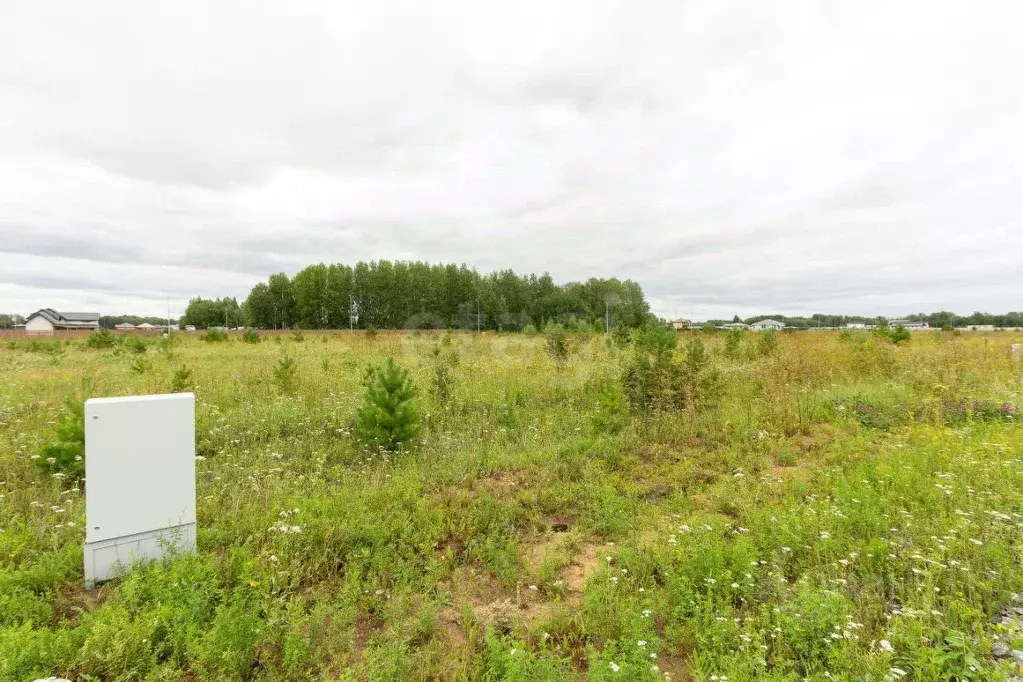 Участок в Тюменская область, Тюменский муниципальный округ, ... - Фото 1