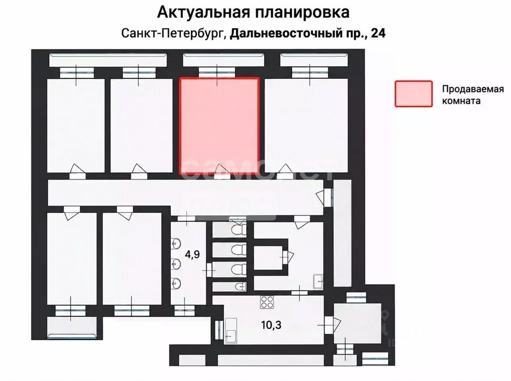 Комната Санкт-Петербург Дальневосточный просп., 24 (13.0 м) - Фото 2