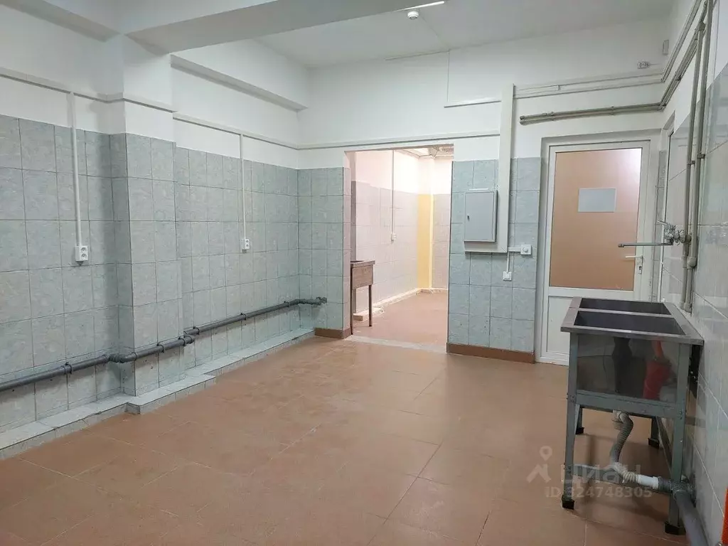 Помещение свободного назначения в Краснодарский край, Сочи Пластунская ... - Фото 1