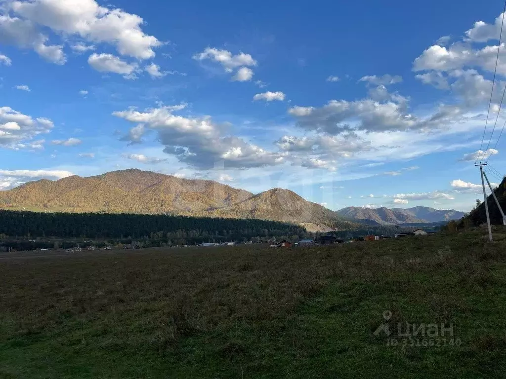 Участок в Алтай, Чемальский район, Рублевка ДПК  (30.0 сот.) - Фото 1