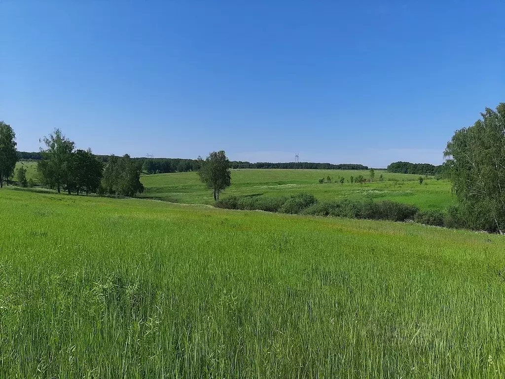 Участок в Тульская область, Заокский район, Страховское с/пос, пос. ... - Фото 2
