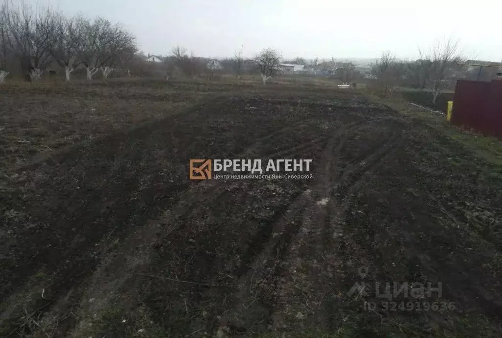 Участок в Белгородская область, Белгородский район, с. Стрелецкое ... - Фото 2