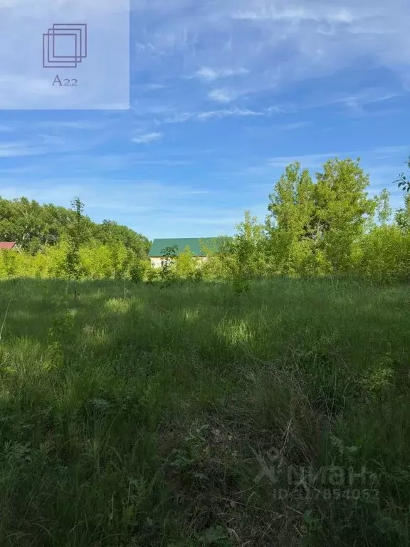 Участок в Алтайский край, Барнаул городской округ, пос. Бельмесево ул. ... - Фото 0