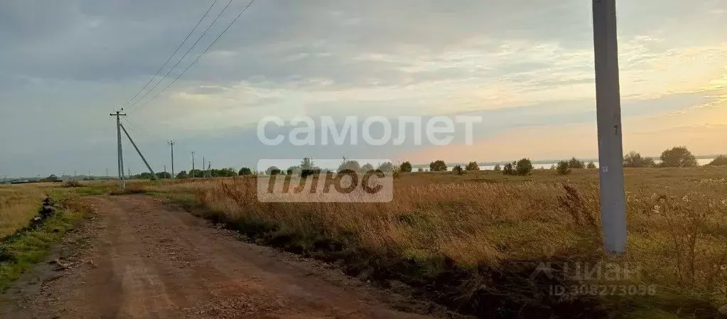 Участок в Челябинская область, Красноармейский район, Озерное с/пос, ... - Фото 1