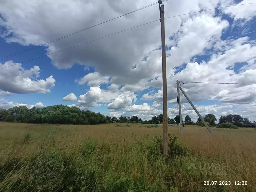 Участок в Владимирская область, Александровский район, д. Наумово  ... - Фото 0