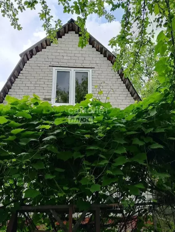 Дом в Курская область, Курский район, Моковский сельсовет, Золотая ... - Фото 2