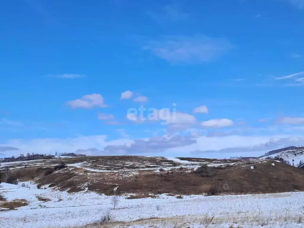 Участок в Алтайский край, Алтайский район, с. Верх-Ая Алтайская ул. ... - Фото 1