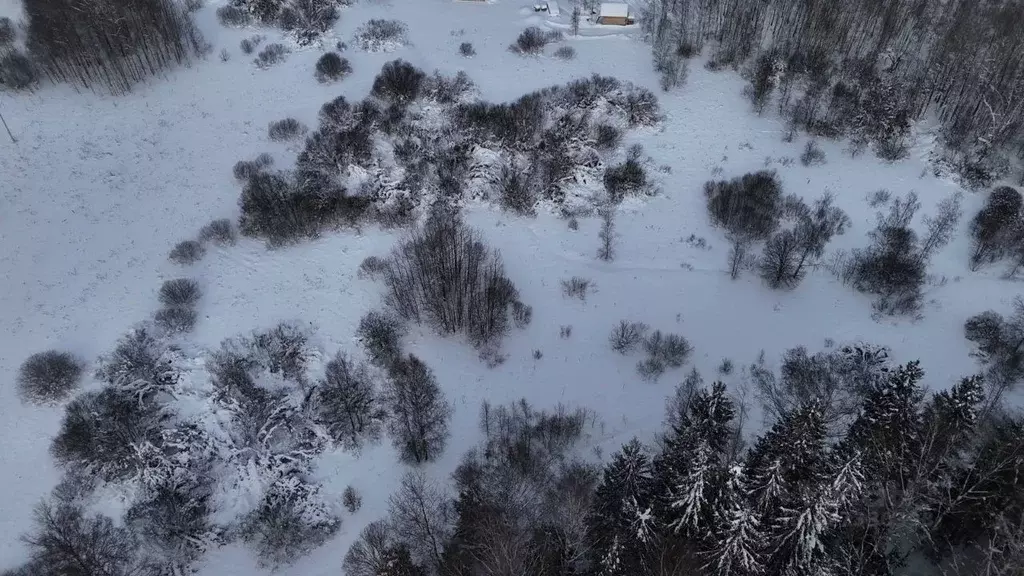 Участок в Московская область, Волоколамский муниципальный округ, с. ... - Фото 1