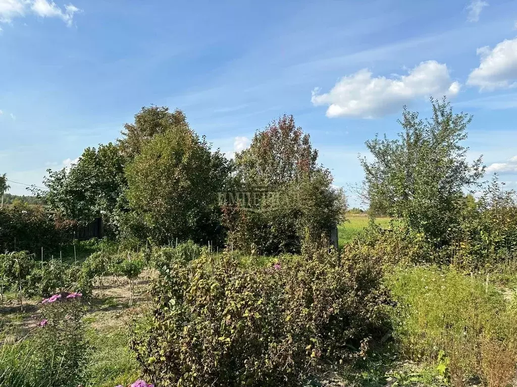 Участок в Марий Эл, Медведевский район, Знаменское с/пос, Рябинка СНТ ... - Фото 1