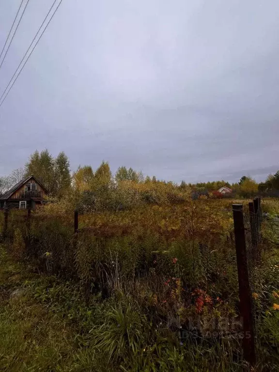 Участок в Башкортостан, Кармаскалинский район, Кабаковский сельсовет, ... - Фото 2