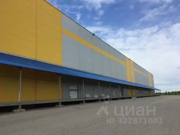 Склад в Санкт-Петербург пос. Шушары, Московское ш., 177 (20000 м) - Фото 2