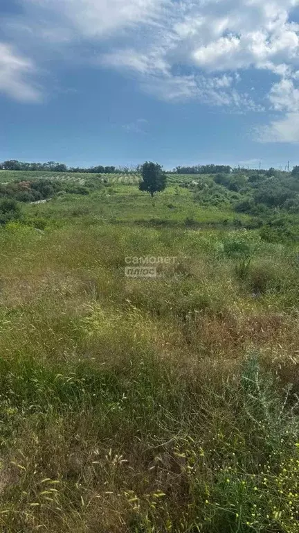 Участок в Краснодарский край, Анапа муниципальный округ, с. Супсех ул. ... - Фото 0