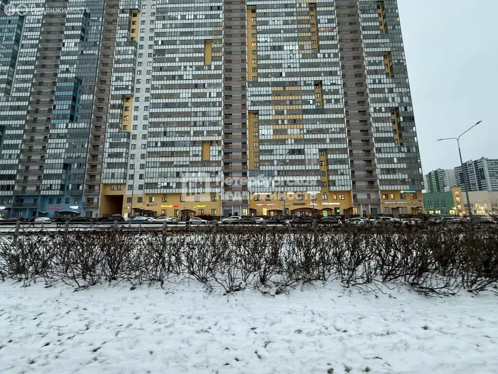 Квартира-студия: Санкт-Петербург, проспект Королёва, 57к1 (25 м) - Фото 1