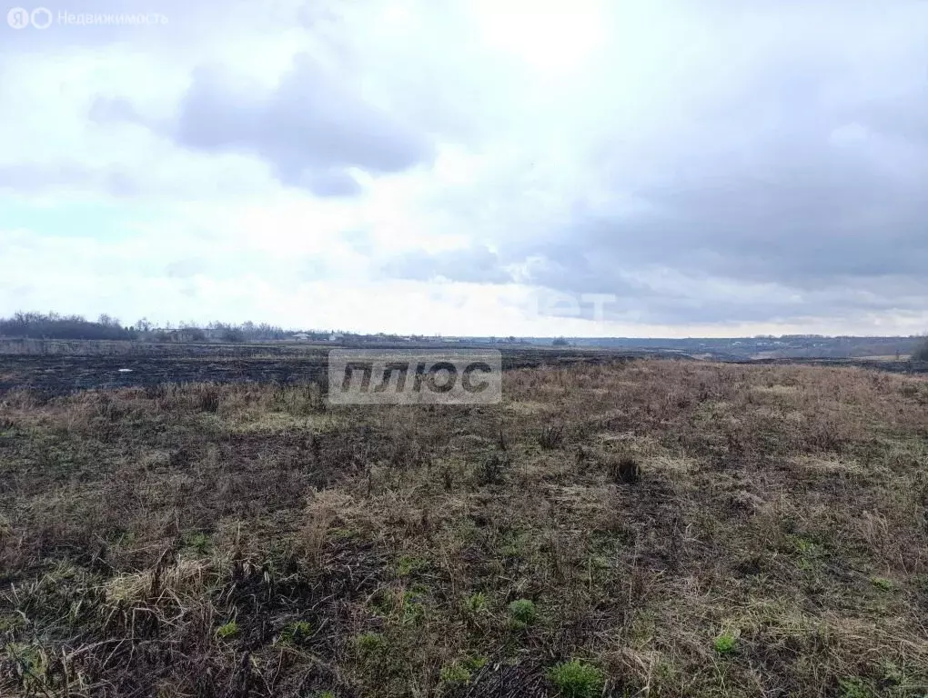 Участок в село Елецкая Лозовка, улица Гуркино, 3 (50 м) - Фото 2