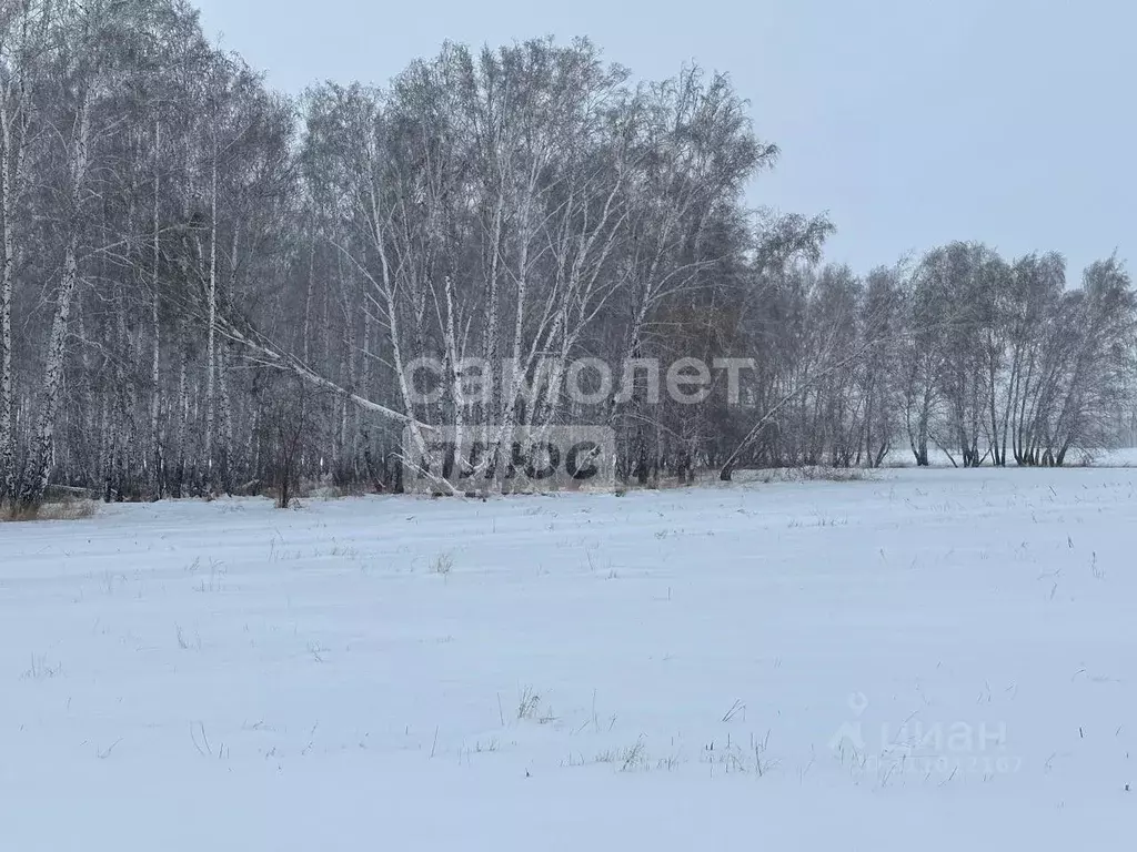 Участок в Омская область, Азовский Немецкий Национальный район, с. ... - Фото 0