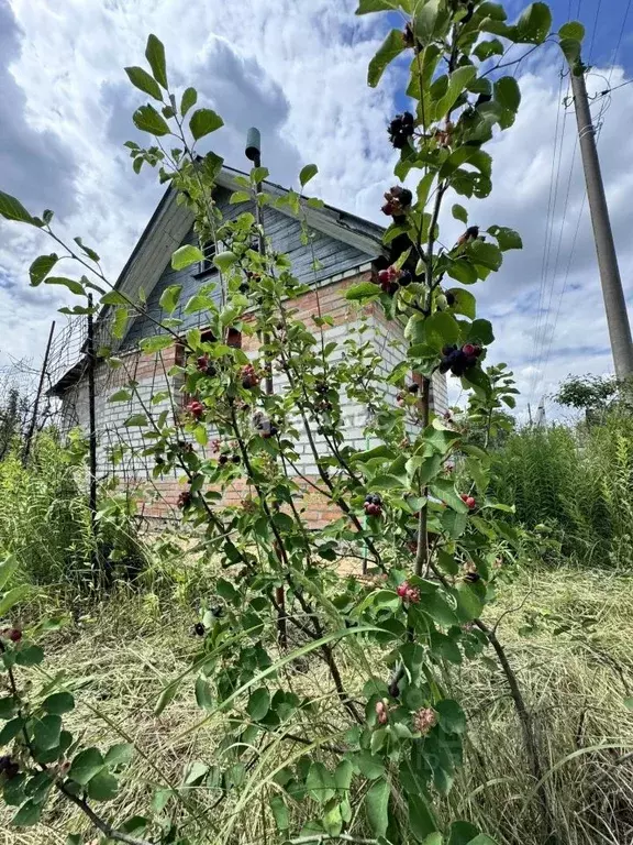 Участок в Воронежская область, Воронеж Вега-88 СНТ, ул. 18-я, 1024 ... - Фото 1
