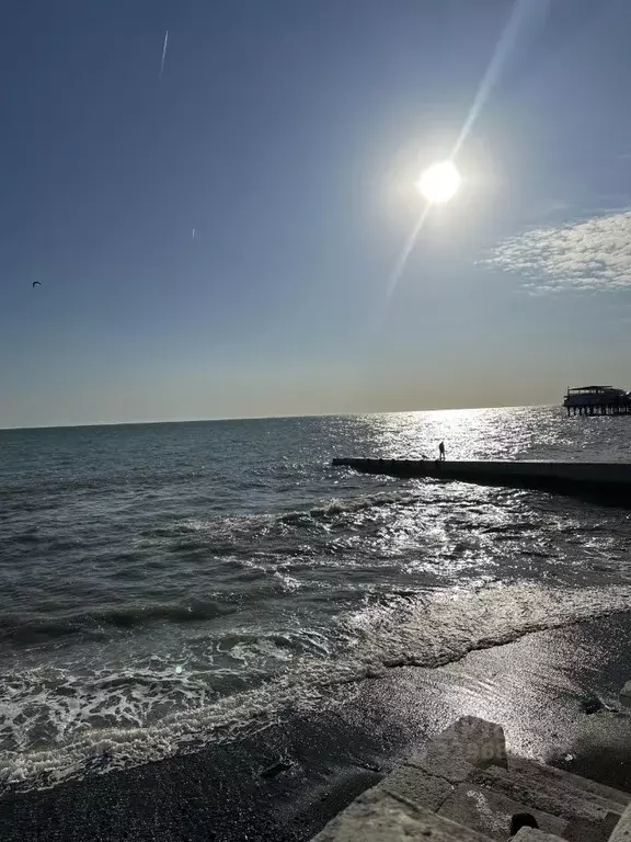 Студия Краснодарский край, Сочи Яна Фабрициуса мкр,  (24.0 м) - Фото 1