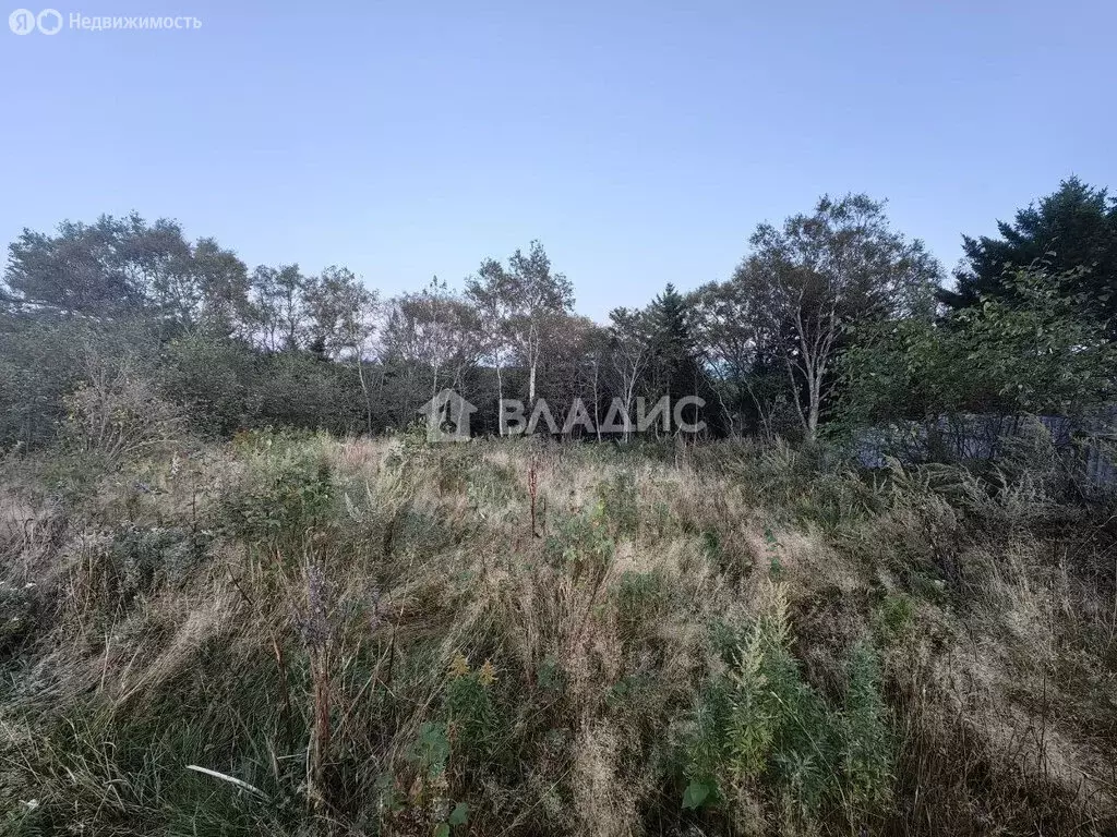 Участок в Корсаков, СТ Спасатель (11 м) - Фото 1
