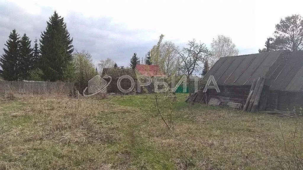 Участок в Тюменская область, Тюменский муниципальный округ, д. Речкина ... - Фото 2