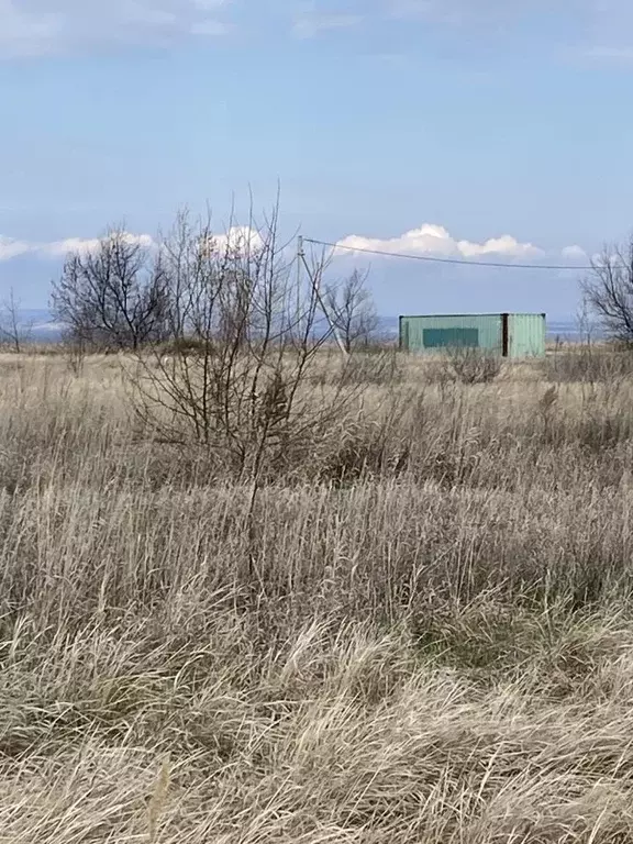 Участок в Самарская область, Ставропольский район, Верхние Белозерки ... - Фото 2