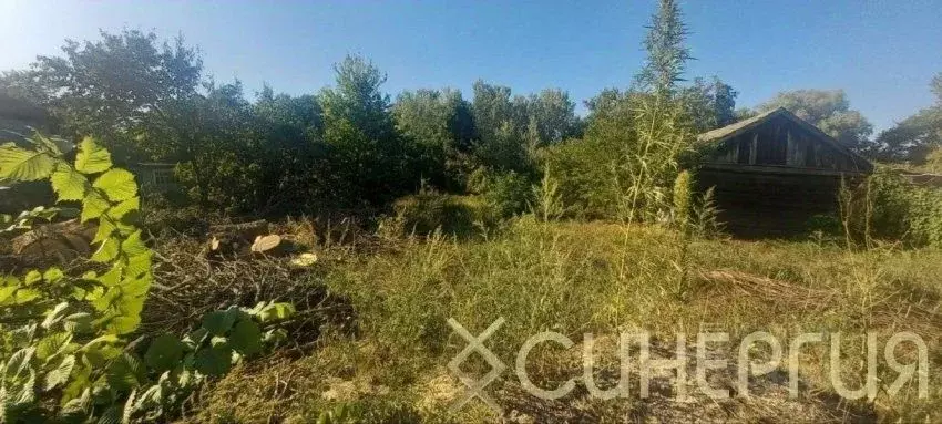 Участок в Ростовская область, Азовский район, Елизаветинское с/пос, ... - Фото 1