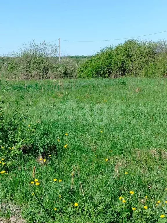 Участок 9,1 сот. (СНТ, ДНП) - Фото 0