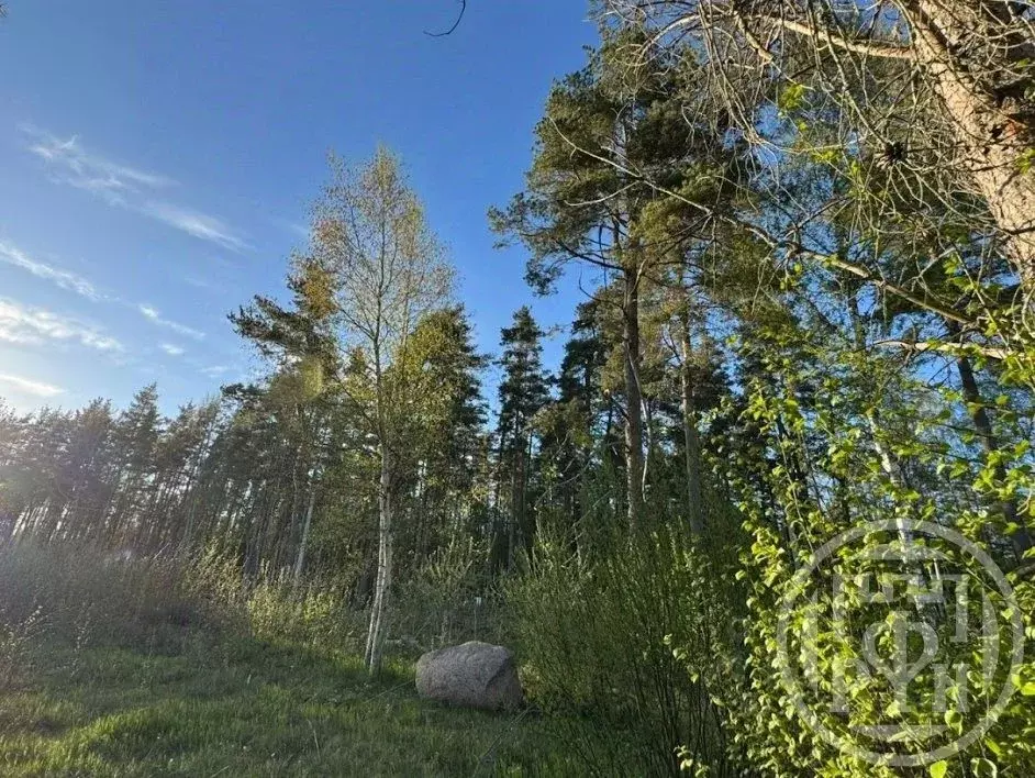 Участок в Ленинградская область, Выборгский район, Полянское с/пос, ... - Фото 0