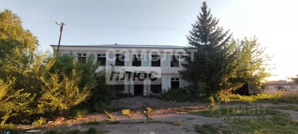 Помещение свободного назначения в Алтайский край, Заринск ул. ... - Фото 0
