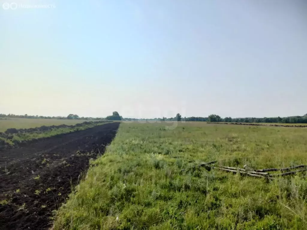 Участок в Ишимбайский район, село Ишеево (7.9 м) - Фото 1