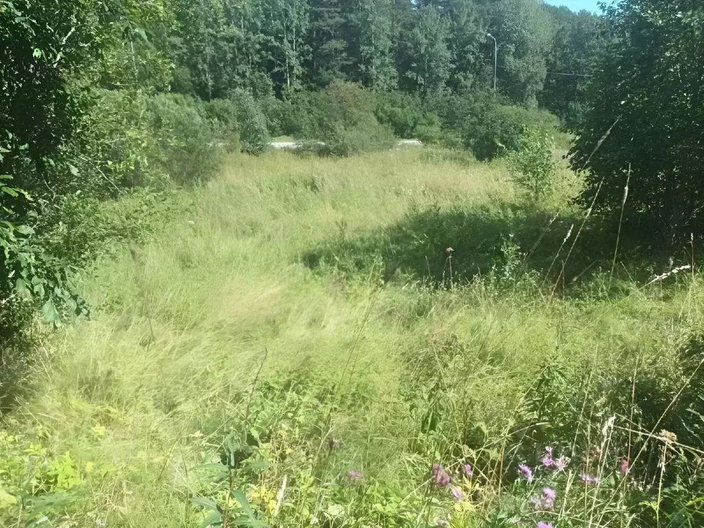 Участок в Карелия, Сортавальский муниципальный округ, пос. Вуорио ... - Фото 0