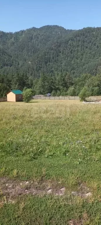 Участок в Алтай, Чемальский район, Узнезинское с/пос, с. Узнезя  (10.0 ... - Фото 1