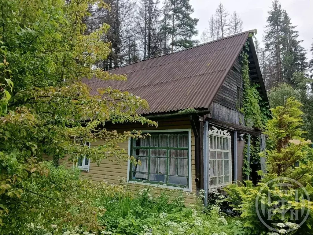 Дом в Ленинградская область, Выборгский район, Рощинское городское ... - Фото 1