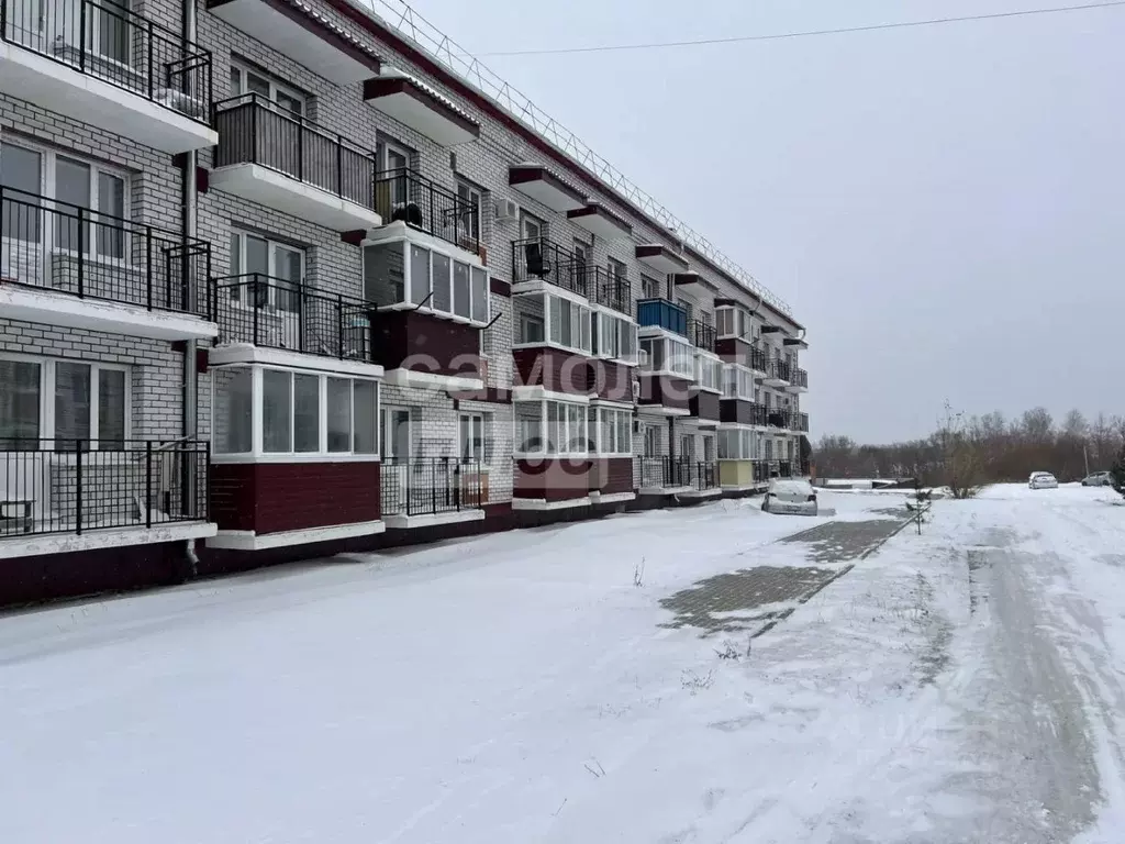 1-к кв. Амурская область, Благовещенский район, с. Чигири ул. ... - Фото 1