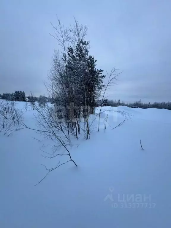 Участок в Ханты-Мансийский АО, Сургутского муниципального района тер., ... - Фото 0