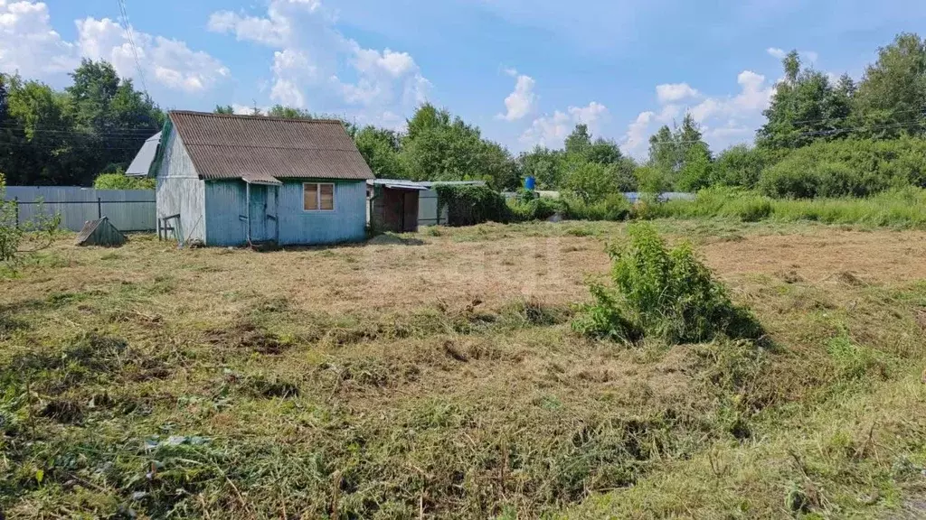 Участок в Московская область, Богородский городской округ, Овощевод ... - Фото 2