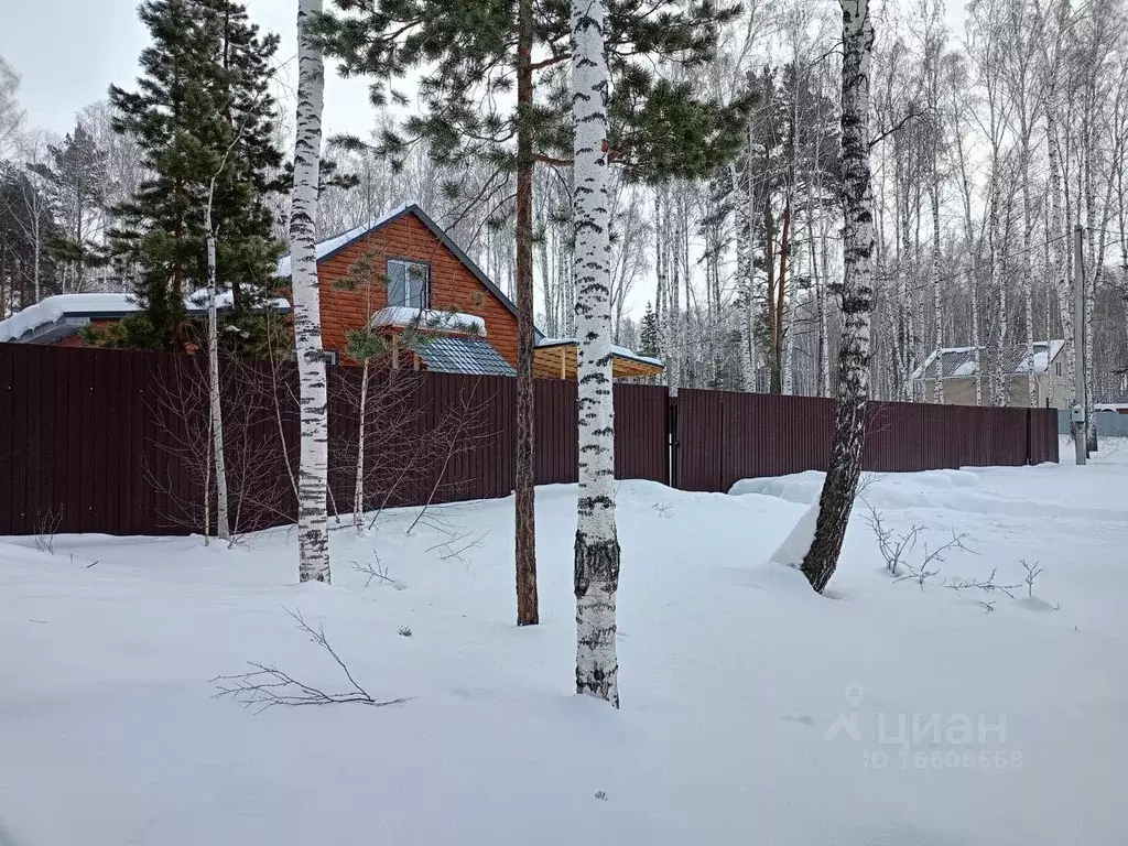 Дом в Челябинская область, Сосновский район, пос. Рощино ул. Березовая ... - Фото 1