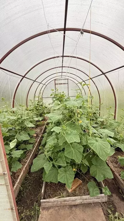 Дом в Марий Эл, Медведевский район, Сидоровское с/пос, Подборное СНТ, ... - Фото 1