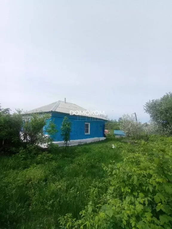 Дом в Челябинская область, Еманжелинск ул. 3-я Поляна, 11 (44 м) - Фото 0