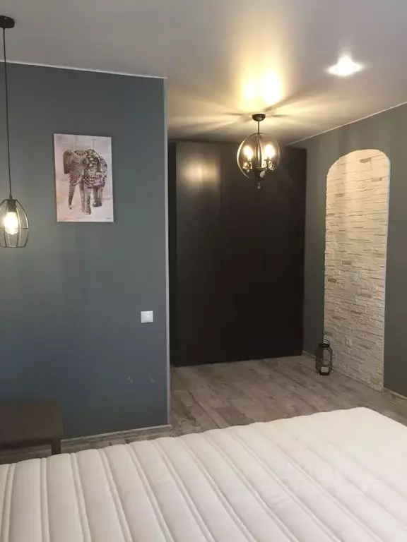 1-к кв. Санкт-Петербург пос. Шушары, просп. Старорусский, 6 (32.0 м) - Фото 1