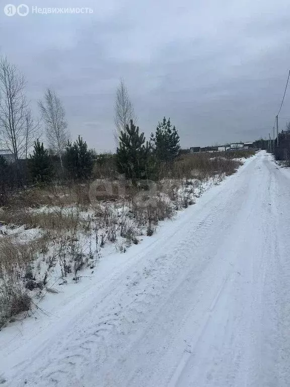 Участок в Тюменский район, СНТ Горошинка (8.29 м) - Фото 0