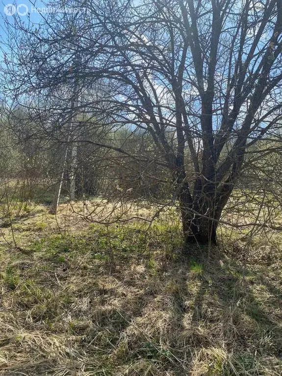 Участок в Московская область, городской округ Солнечногорск, деревня ... - Фото 2