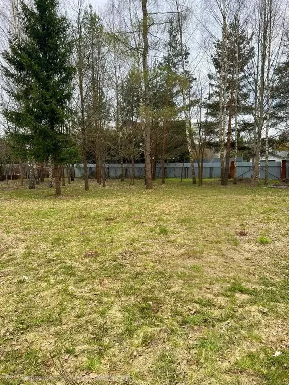 Участок в Московская область, Одинцовский городской округ, Хуторок ... - Фото 2
